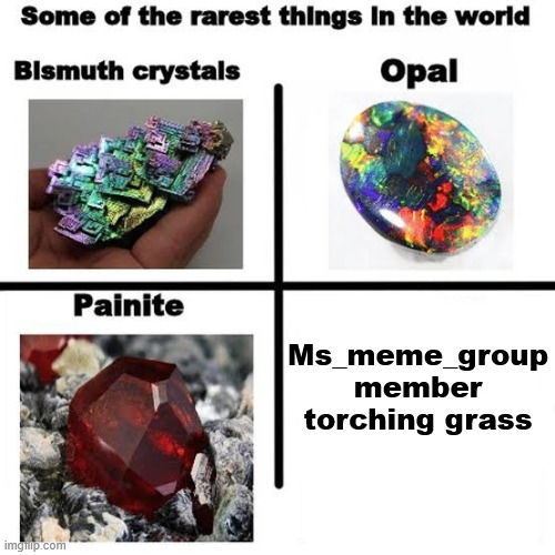 i cant find any fotage of any of these freaks toching grass | Ms_meme_group member torching grass | image tagged in some of the rarest things in the world,imgflip,imgflip users | made w/ Imgflip meme maker