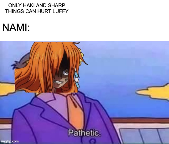 why can she do that | only haki and sharp things can hurt luffy; nami: | image tagged in skinner pathetic,anime,one piece | made w/ Imgflip meme maker