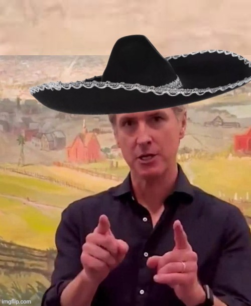 Nutcase Gavin Newsom | image tagged in nutcase gavin newsom | made w/ Imgflip meme maker