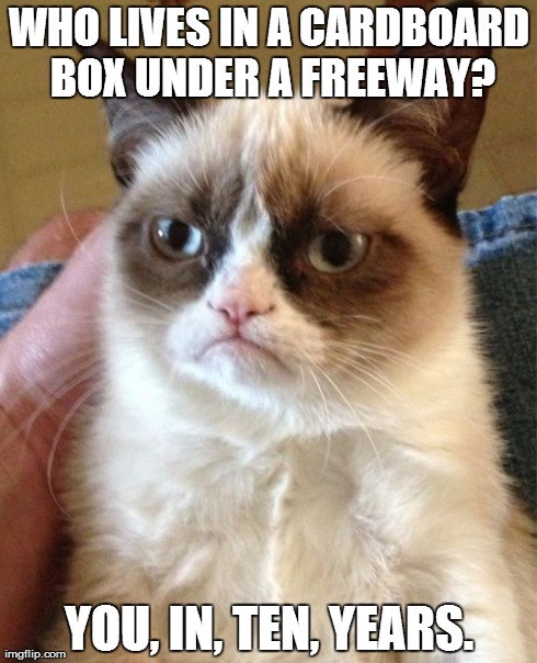 Grumpy Cat | WHO LIVES IN A CARDBOARD BOX UNDER A FREEWAY? YOU, IN, TEN, YEARS. | image tagged in memes,grumpy cat | made w/ Imgflip meme maker