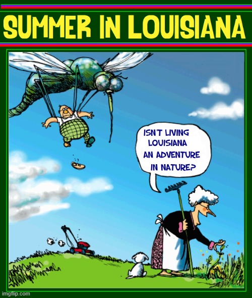 Invasion of the Body Snatchers (or Living in Louisiana) | image tagged in vince vance,giant,mosquito,cartoons,old couple,gardening | made w/ Imgflip meme maker