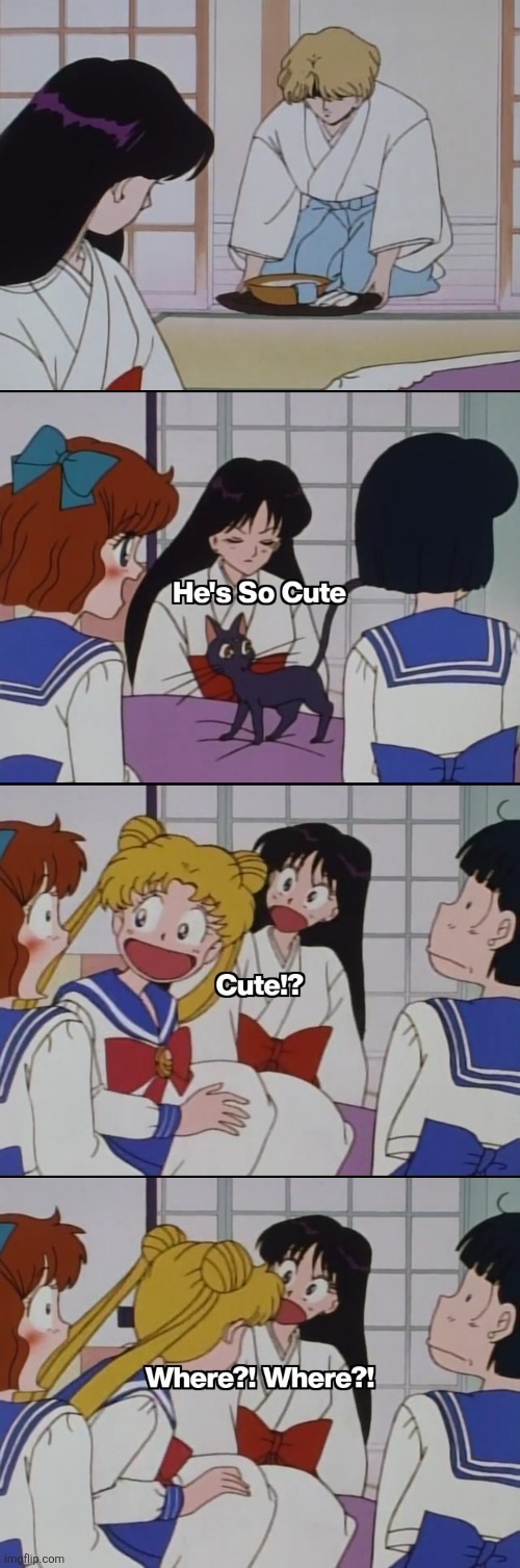 Lol Sarina Used To Act So Thirsty For The Boys | image tagged in anime,sailor moon,memes | made w/ Imgflip meme maker