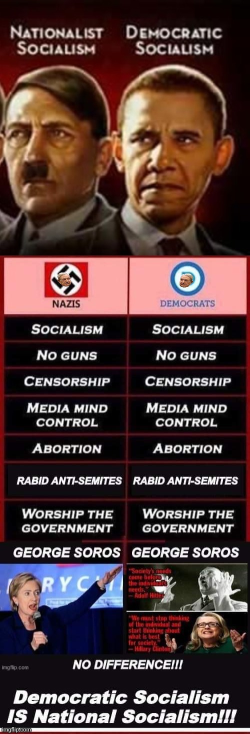 Democratic Socialism is National Socialism chart | image tagged in democratic socialism is national socialism chart | made w/ Imgflip meme maker