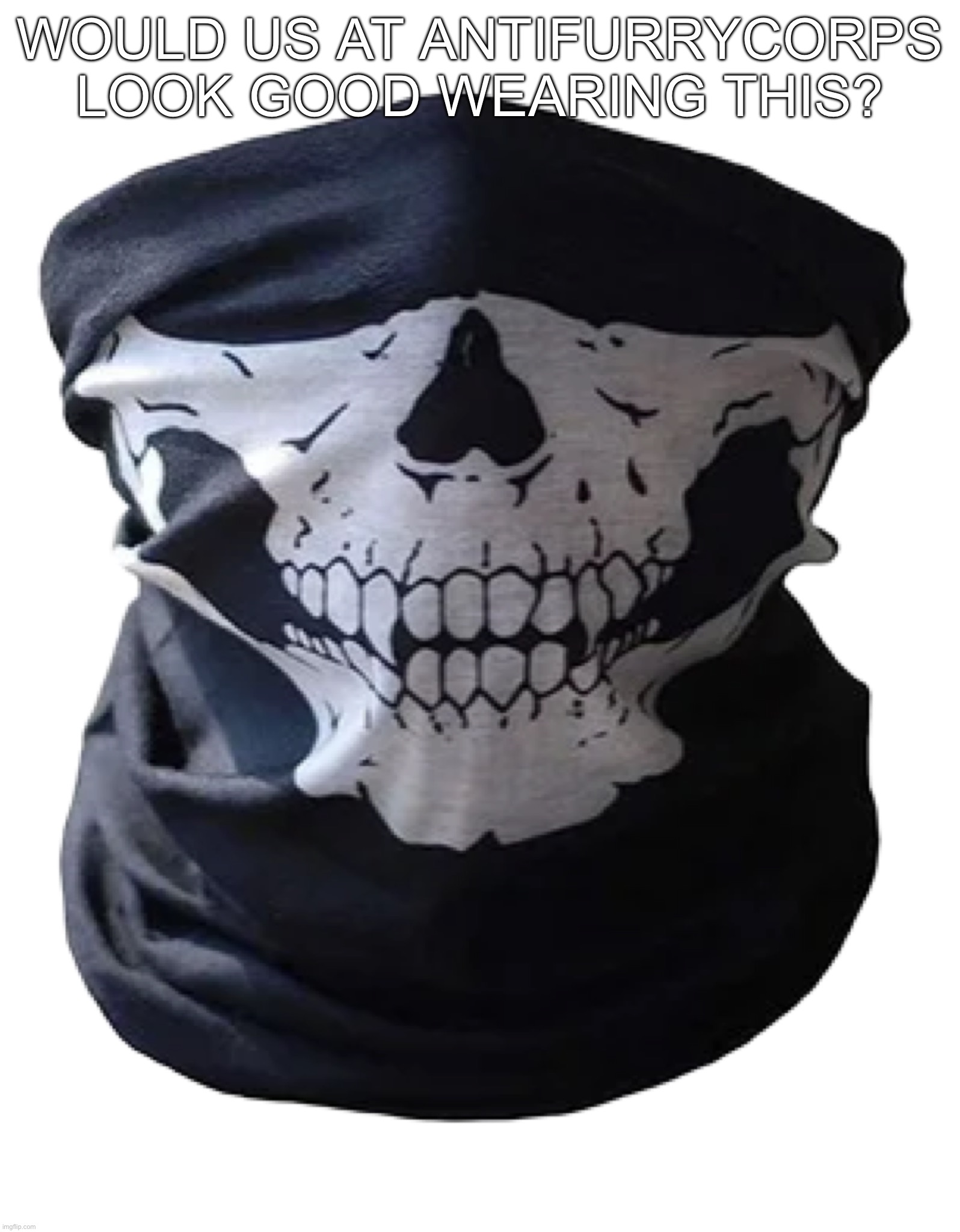 Skull mask | would us at antifurrycorps look good wearing this? | image tagged in skull mask | made w/ Imgflip meme maker