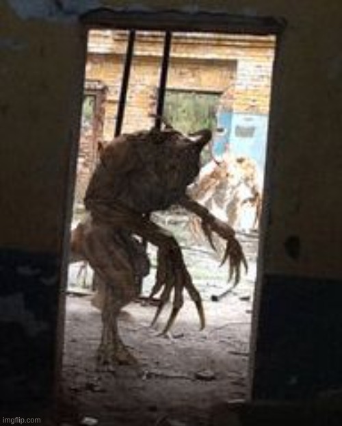 y'all my dog acting a little weird lately | made w/ Imgflip meme maker