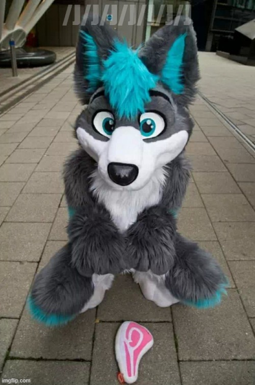 Furry | /j/j/j/j/j/j/j | image tagged in furry | made w/ Imgflip meme maker
