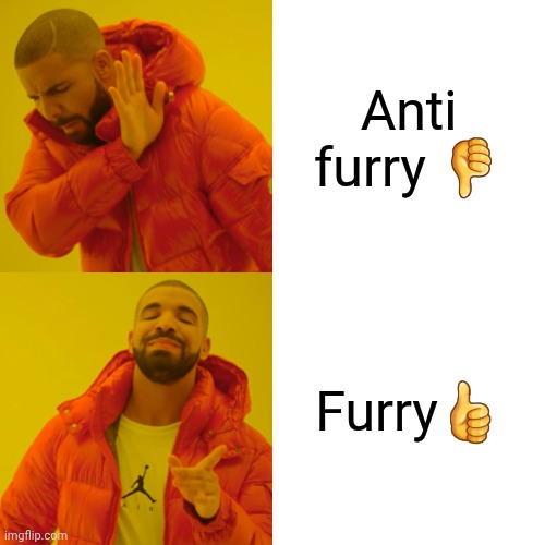 Drake Hotline Bling Meme | Anti furry 👎; Furry👍 | image tagged in memes,drake hotline bling | made w/ Imgflip meme maker