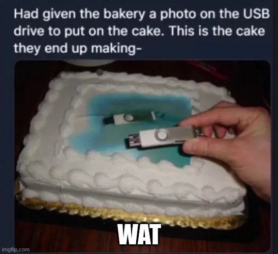 wat | wat | image tagged in memes,you had one job | made w/ Imgflip meme maker