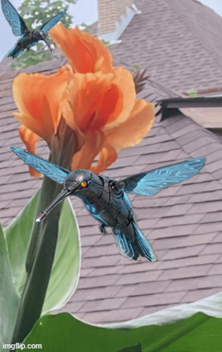 Humming Borg Flyby | image tagged in gifs,humming,cybird,robobird | made w/ Imgflip images-to-gif maker