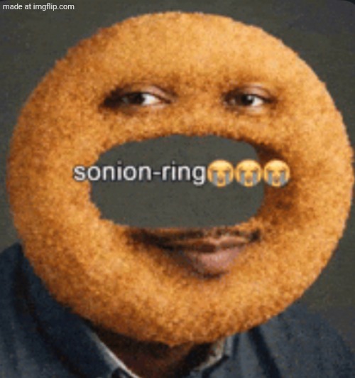 sonion ring | image tagged in sonion ring | made w/ Imgflip meme maker