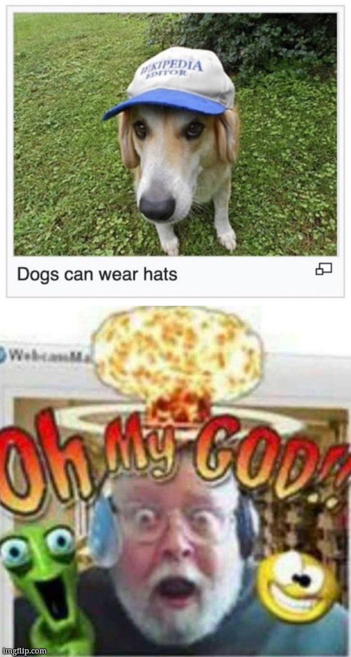 image tagged in oh my god | made w/ Imgflip meme maker