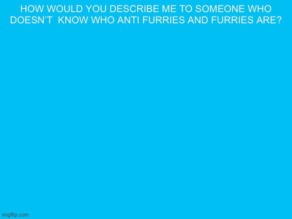 how would you describe me to someone who doesn’t  know who anti furries and furries are? | made w/ Imgflip meme maker