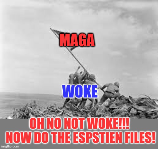 And here we are......when are we going to get health care?  Perhaps something beside a statue or a monument! | Maga; Woke; Oh no not woke!!!  Now do the espstien files! | image tagged in raising the flag | made w/ Imgflip meme maker