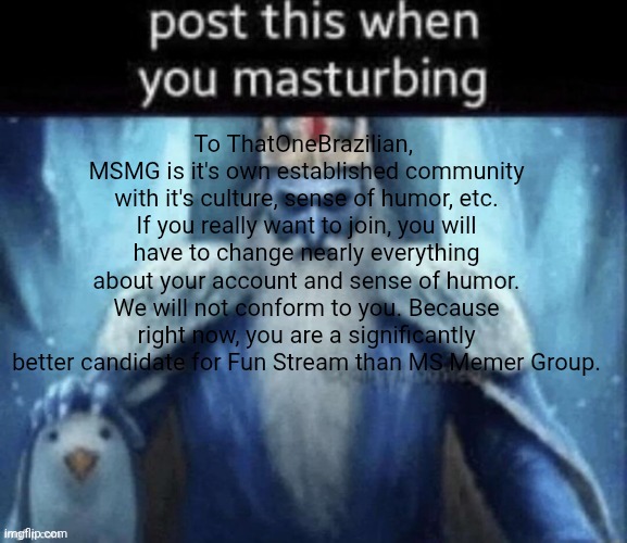 Essay for ThatOneBrazilian, everyone else can ignore | To ThatOneBrazilian, 
MSMG is it's own established community with it's culture, sense of humor, etc. If you really want to join, you will have to change nearly everything about your account and sense of humor. We will not conform to you. Because right now, you are a significantly better candidate for Fun Stream than MS Memer Group. | image tagged in post this when you masturbing | made w/ Imgflip meme maker