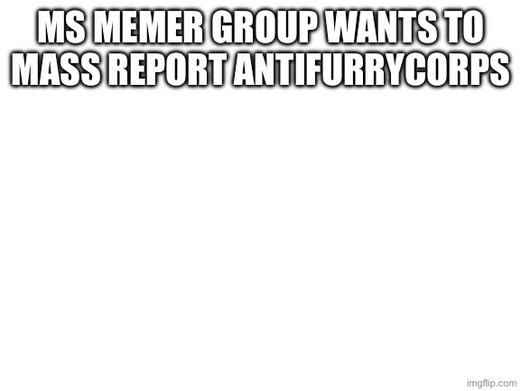 Blank White Template | Ms memer group wants to mass report antifurrycorps | image tagged in blank white template | made w/ Imgflip meme maker
