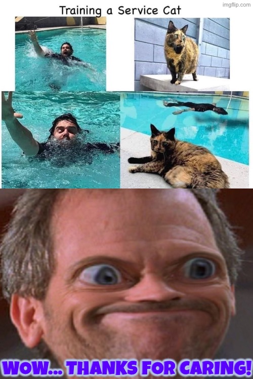 Wow... Thanks For Caring | Wow... Thanks for caring! | image tagged in cats,funny cats,reactions,drowning,i don't care,sarcasm | made w/ Imgflip meme maker