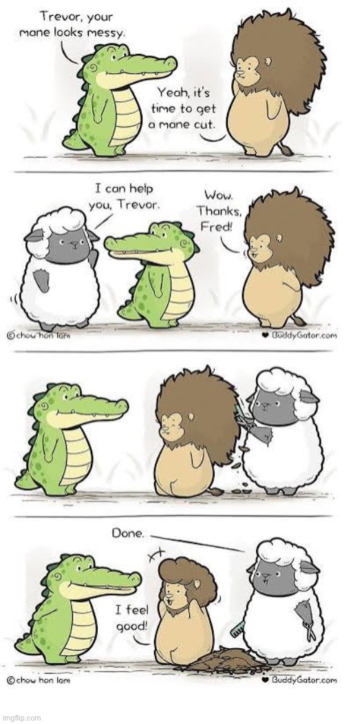Buddy Gator | image tagged in comics,buddy gator,lion,sheep,haircut,mane | made w/ Imgflip meme maker
