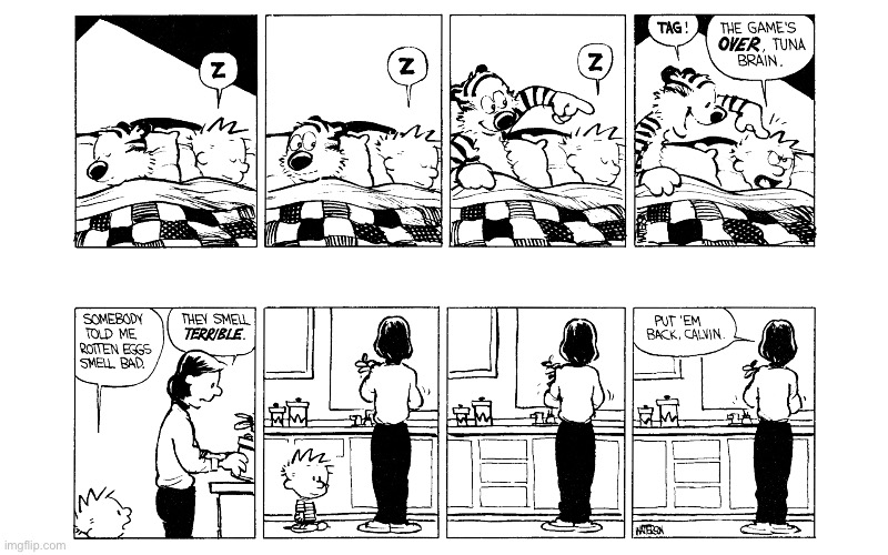 image tagged in calvin and hobbes,comics | made w/ Imgflip meme maker
