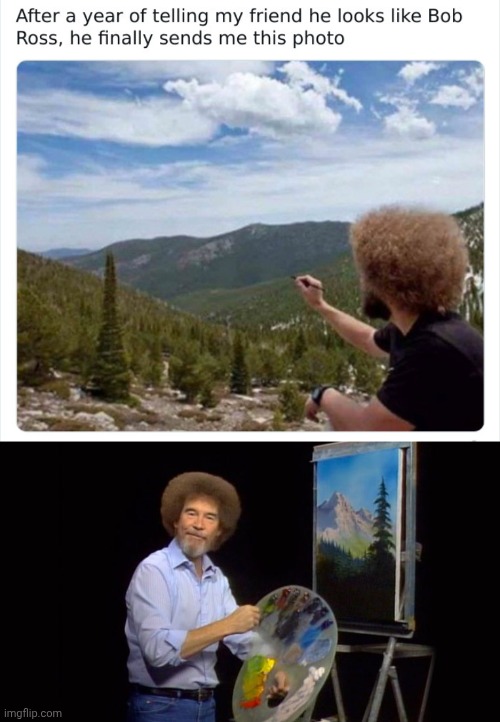 Bob Ross lookalike | image tagged in bob ross | made w/ Imgflip meme maker