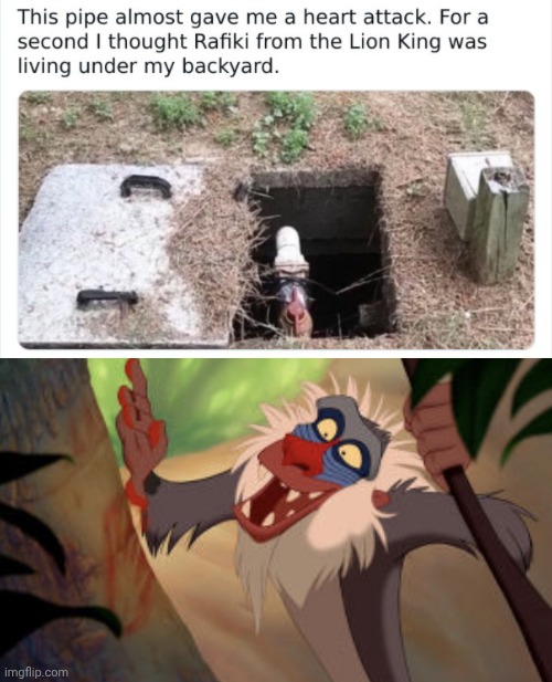 Rafiki | image tagged in rafiki | made w/ Imgflip meme maker