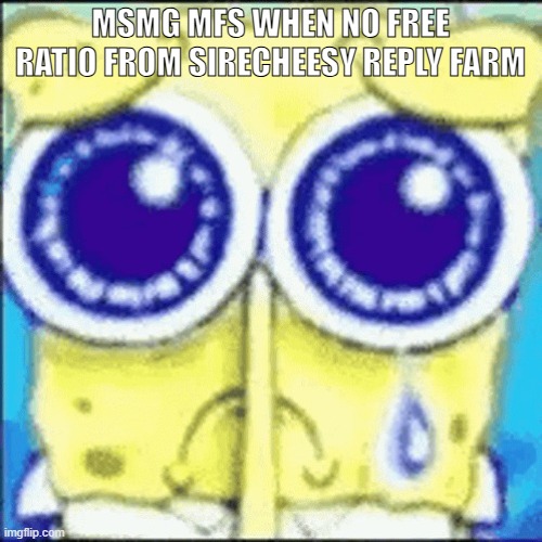 Sad spunchbop | msmg mfs when no free ratio from sirecheesy reply farm | image tagged in sad spunchbop | made w/ Imgflip meme maker