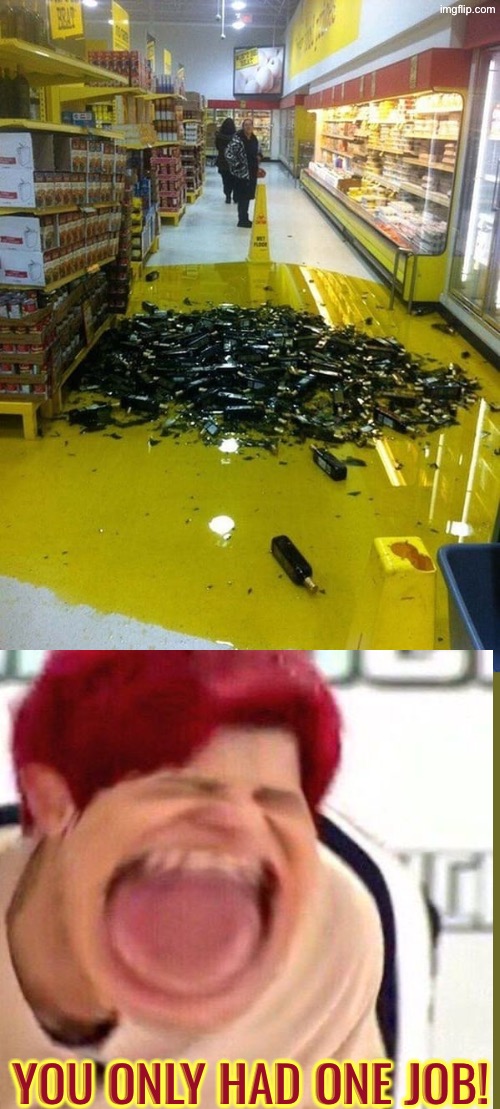 What A Disaster To Clean Up | You only had one job! | image tagged in you had one job,task failed successfully,spilled,duhhh dumbass,reactions,do you are have stupid | made w/ Imgflip meme maker