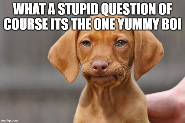 what a stupid question of course its the one yummy boi | image tagged in dissapointed puppy | made w/ Imgflip meme maker