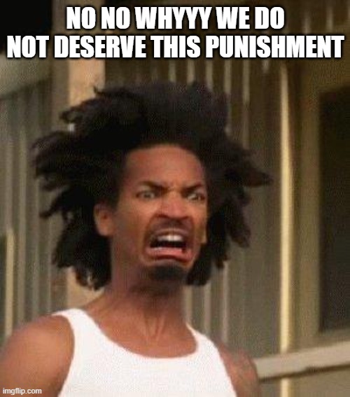 Disgusted Face | no no whyyy we do not deserve this punishment | image tagged in disgusted face | made w/ Imgflip meme maker