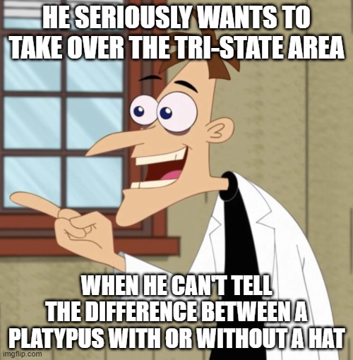 Bro seriously wants to be an evil genius so bad | He seriously wants to take over the tri-state area; when he can't tell the difference between a platypus with or without a hat | image tagged in phineas and ferb,doofenshmirtz,perry the platypus,nostalgia,cartoon logic | made w/ Imgflip meme maker
