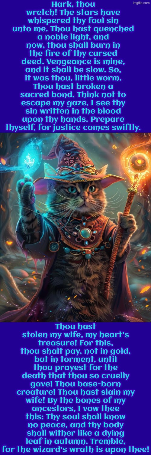 Thou Hast Stolen My Wife | Hark, thou wretch! The stars have whispered thy foul sin unto me. Thou hast quenched a noble light, and now, thou shall burn in the fire of thy cursed deed. Vengeance is mine, and it shall be slow. So, it was thou, little worm. Thou hast broken a sacred bond. Think not to escape my gaze. I see thy sin written in the blood upon thy hands. Prepare thyself, for justice comes swiftly. Thou hast stolen my wife, my heart's treasure! For this, thou shalt pay, not in gold, but in torment, until thou prayest for the death that thou so cruelly gave! Thou base-born creature! Thou hast slain my wife! By the bones of my ancestors, I vow thee this: Thy soul shall know no peace, and thy body shall wither like a dying leaf in autumn. Tremble, for the wizard's wrath is upon thee! | image tagged in cats,medieval memes,wizards,peasant,cursed,murderer | made w/ Imgflip meme maker
