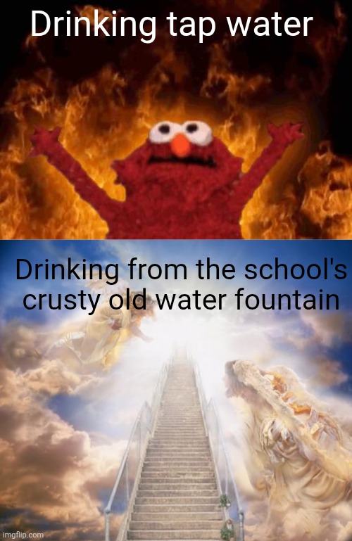 Tastes magical | Drinking tap water; Drinking from the school's crusty old water fountain | image tagged in elmo maligno,stairs to heaven | made w/ Imgflip meme maker