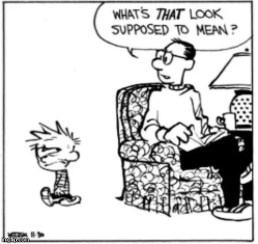 reaction temp for when someone drops a dumpster fire take | image tagged in calvin and hobbes | made w/ Imgflip meme maker
