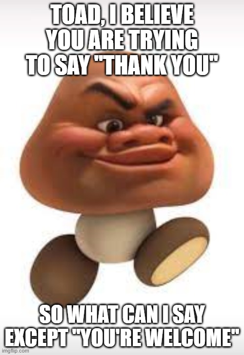 You're welcome, toad | toad, i believe you are trying to say "thank you"; so what can i say except "you're welcome" | image tagged in maui goomba | made w/ Imgflip meme maker