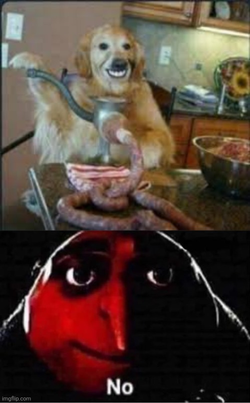 image tagged in meat dog,gru no | made w/ Imgflip meme maker