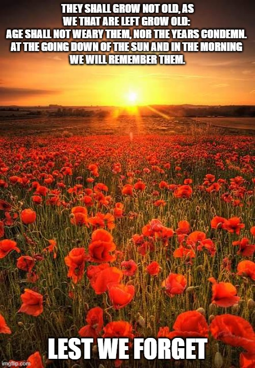 It's now been 111 years since then... | They shall grow not old, as we that are left grow old: 
Age shall not weary them, nor the years condemn. 
At the going down of the sun and in the morning 
We will remember them. lest we forget | image tagged in poppy field lest we forget,anzac day,australia,ww1,lest we forget | made w/ Imgflip meme maker