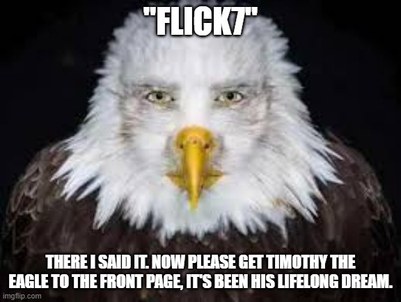 Let's fulfill Timothy's dream! | "flick7"; there i said it. Now please get Timothy the eagle to the front page, it's been his lifelong dream. | image tagged in human faced eagle,memes,funny,flick7,timothy the eagle,i hate it when mickey mouse craps under my bed | made w/ Imgflip meme maker