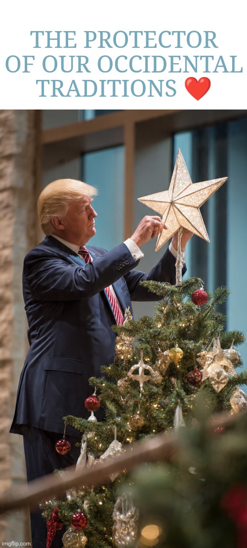 ❤️ | The protector of our occidental traditions ❤️ | image tagged in donald trump puts the star on the christmas tree | made w/ Imgflip meme maker