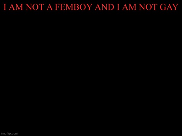 i am not a femboy and i am not gay | made w/ Imgflip meme maker