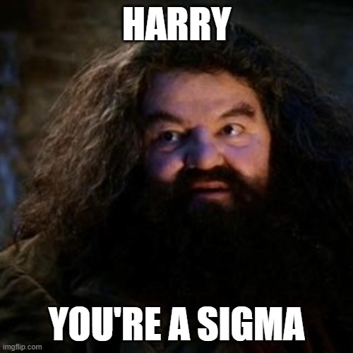You're a wizard harry | harry; you're a sigma | image tagged in you're a wizard harry | made w/ Imgflip meme maker