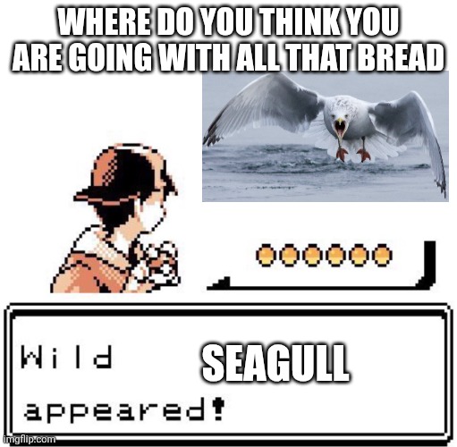 Seagulls are bastards | Where do you think you are going with all that bread; Seagull | image tagged in blank wild pokemon appears | made w/ Imgflip meme maker