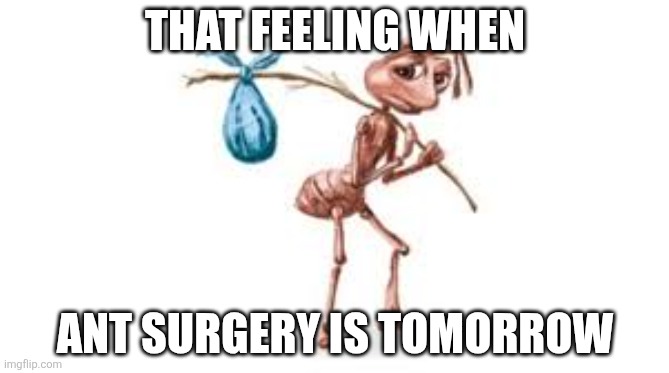 Homeless ant | That feeling when; Ant surgery is tomorrow | image tagged in homeless ant | made w/ Imgflip meme maker