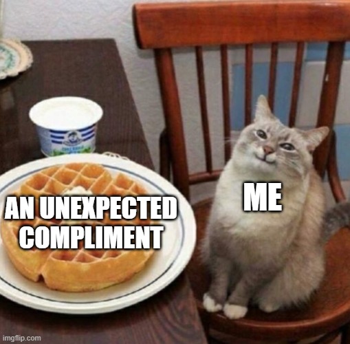 compliment | me; an unexpected compliment | image tagged in cat likes their waffle | made w/ Imgflip meme maker