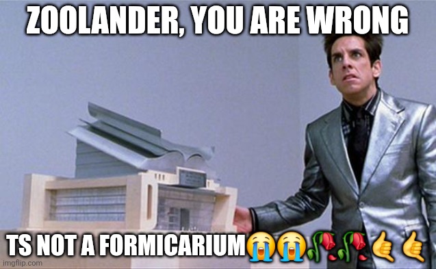 This seat | Zoolander, you are wrong; Ts not a formicarium😭😭🥀🥀🤙🤙 | image tagged in a center for ants | made w/ Imgflip meme maker