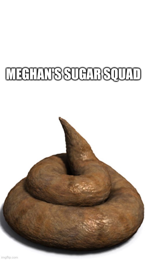 Meghan's Sugar Squad | image tagged in make your own meme,turd | made w/ Imgflip meme maker