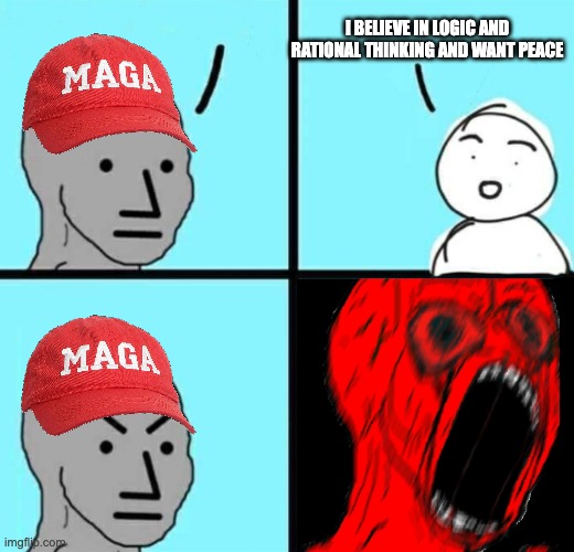 Angry NPC wojack rage | I believe in logic and rational thinking and want peace | image tagged in angry npc wojack rage,anti-trump,liberal | made w/ Imgflip meme maker