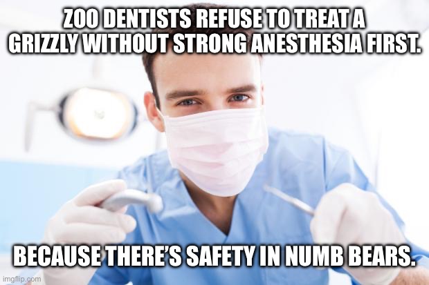 Bear Joke | Zoo dentists refuse to treat a grizzly without strong anesthesia first. Because there’s safety in numb bears. | image tagged in dentist,bad pun,safety first,bear,tooth | made w/ Imgflip meme maker