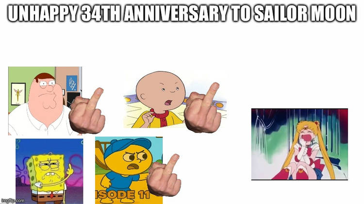 Who hates sailormoonsucksuttp's art Blank Meme Template