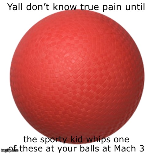 Dodge ball | Yall don’t know true pain until; the sporty kid whips one of these at your balls at Mach 3 | image tagged in dodge ball,gym,sports,pain,balls | made w/ Imgflip meme maker