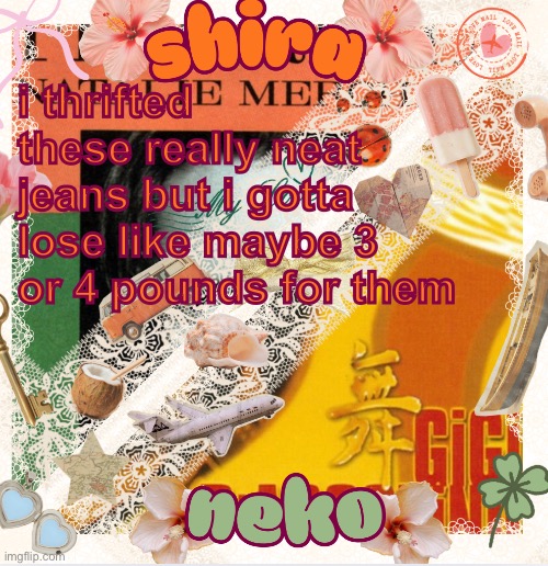 im tryna get rid of my stomach anyways lol | i thrifted these really neat jeans but i gotta lose like maybe 3 or 4 pounds for them | image tagged in neko and shira shared temp 3 | made w/ Imgflip meme maker