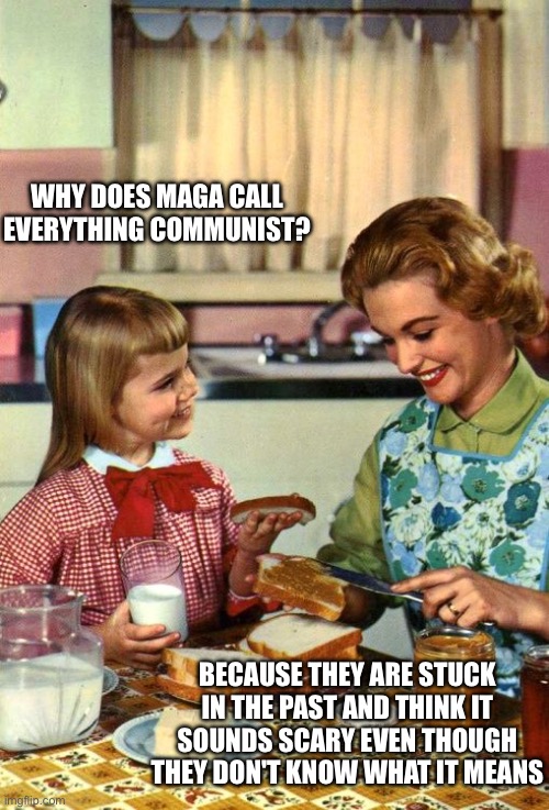 Vintage Mom and Daughter | Why does maga call everything communist? Because they are stuck in the past and think it sounds scary even though they don't know what it me | image tagged in vintage mom and daughter | made w/ Imgflip meme maker